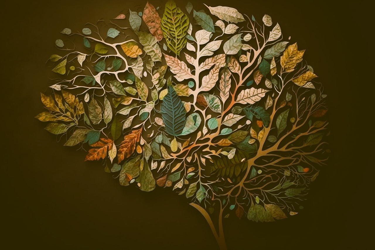 Intellect Monde - au cœur des apprentissages