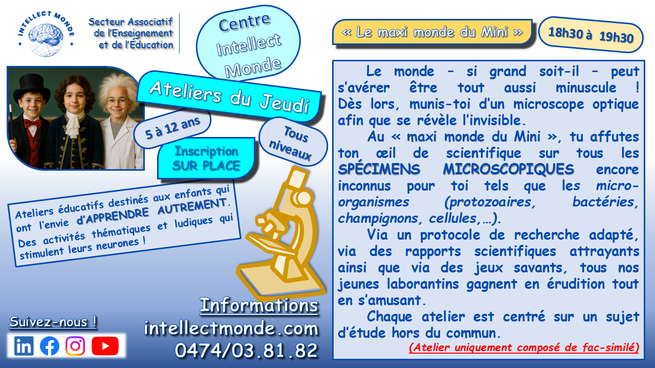 Atelier Le maxi monde du Mini - Intellect Monde