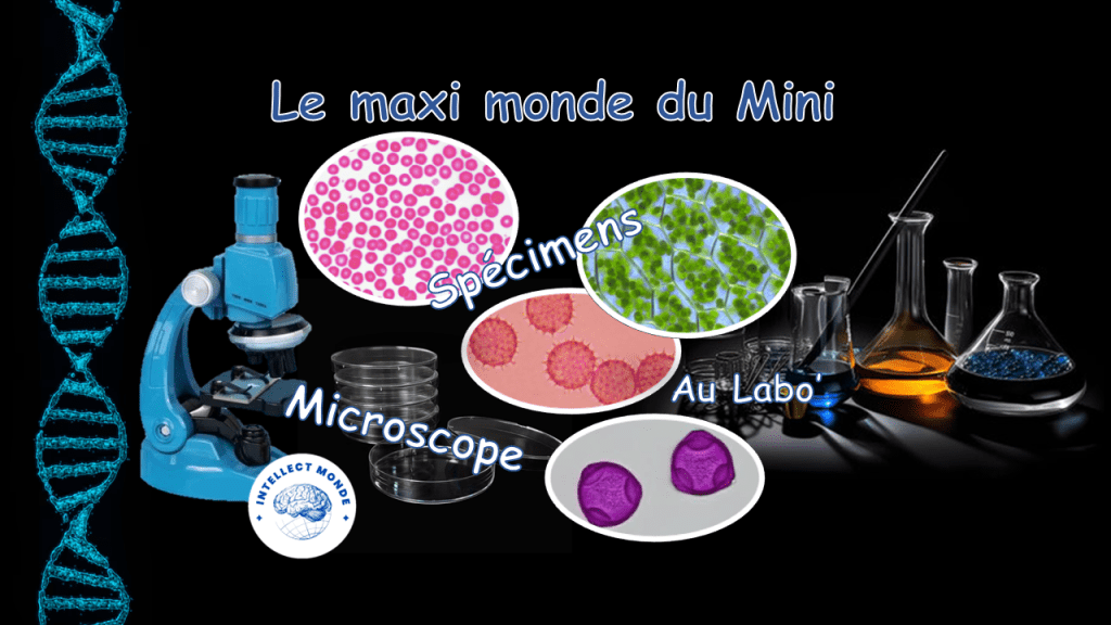 Atelier Le maxi monde du Mini - Intellect Monde