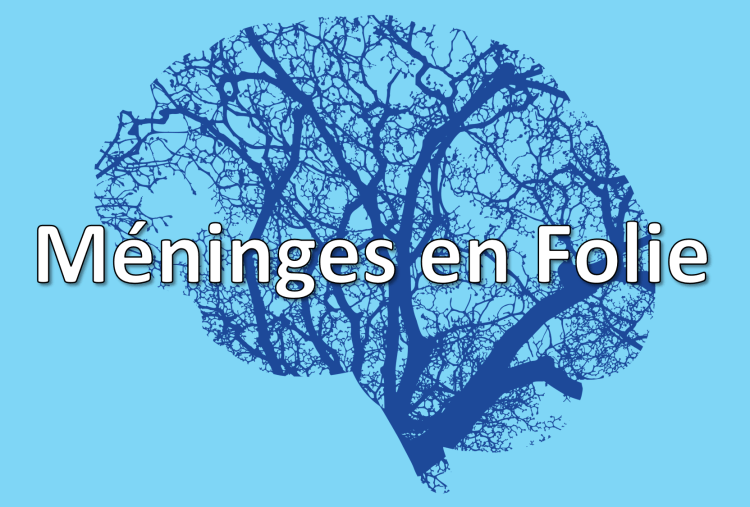 Atelier Méninges en Folie - Intellect Monde
