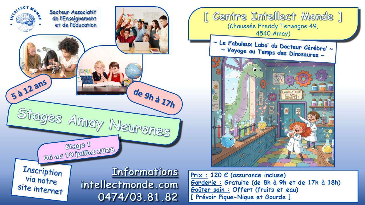 Stage 1 été 2026 - Amay Neurones - Intellect Monde