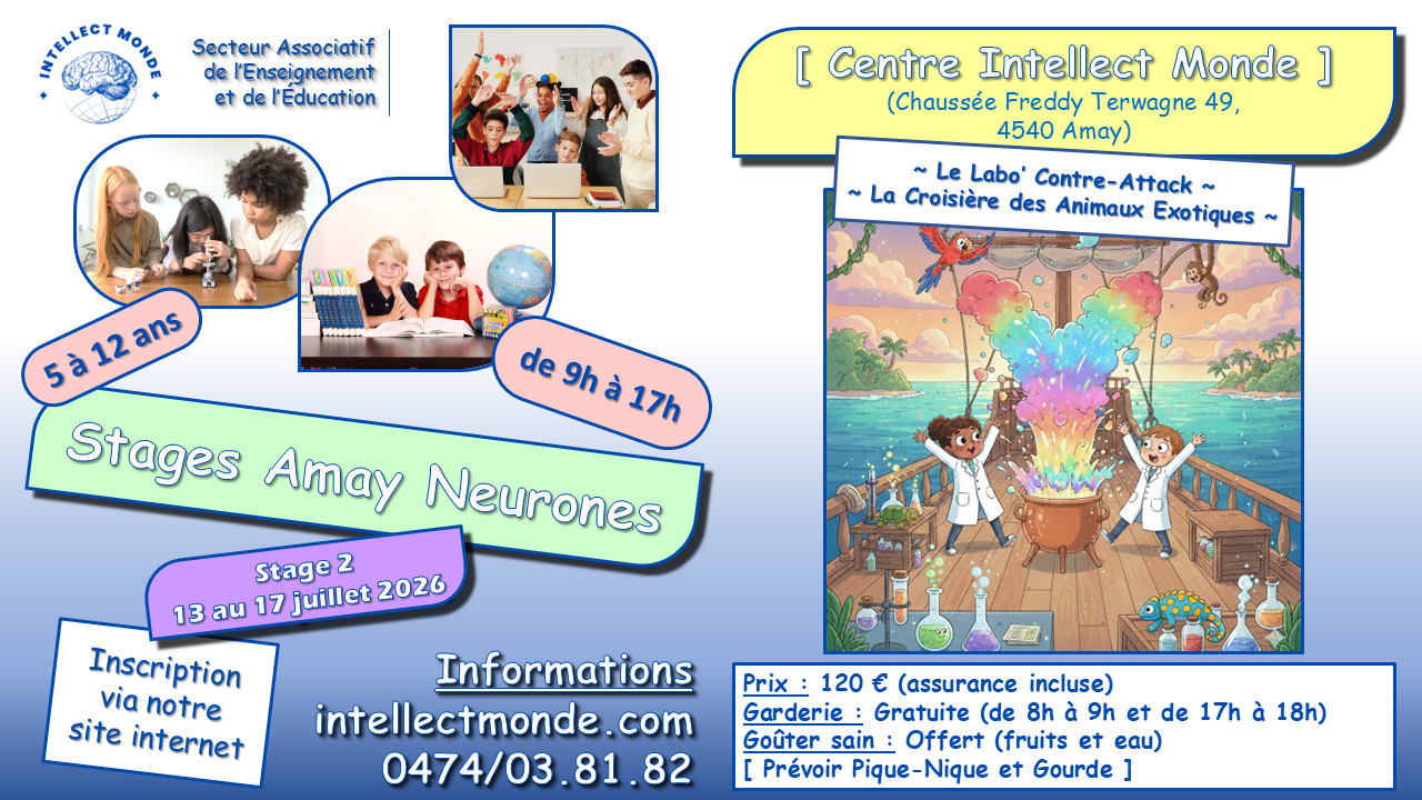 Stage 2 été 2026 - Amay Neurones - Intellect Monde