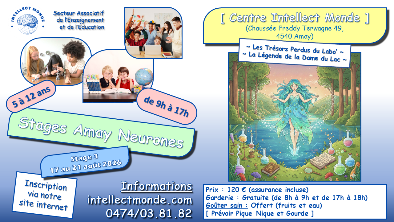 Stage 3 été 2026 - Amay Neurones - Intellect Monde