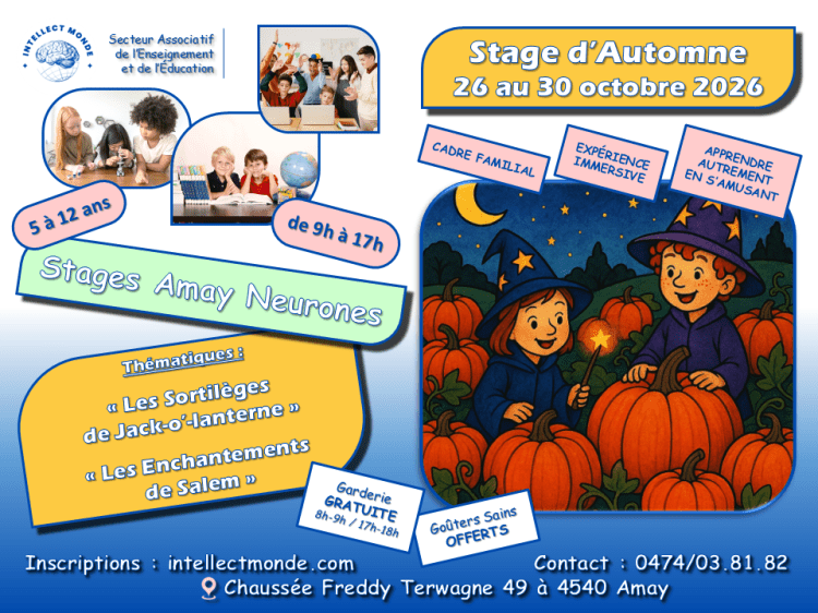 Stage d'Automne 2026 - Intellect Monde