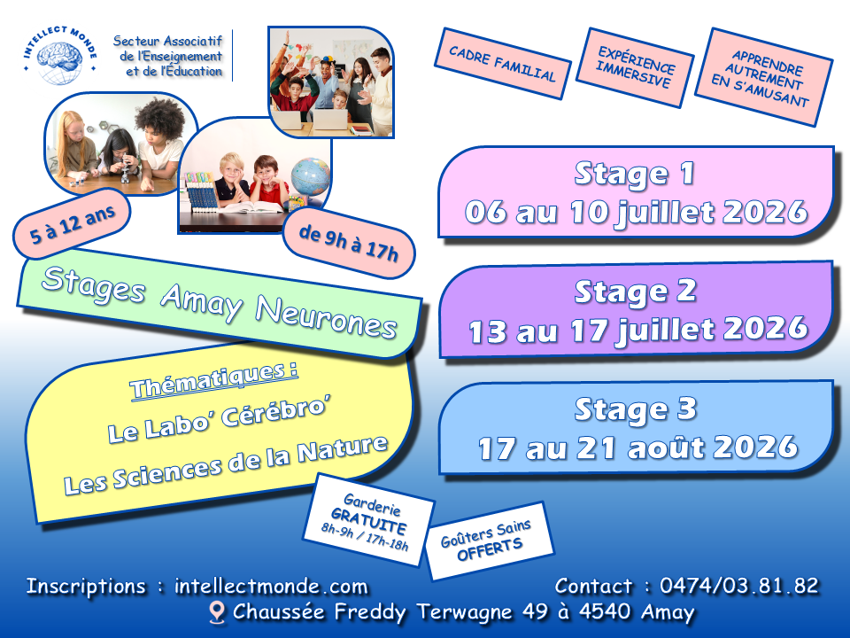 Stages d'été 2026 - Intellect Monde