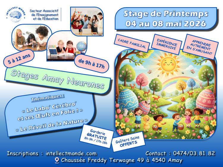 Stage de Printemps 2026 - Intellect Monde